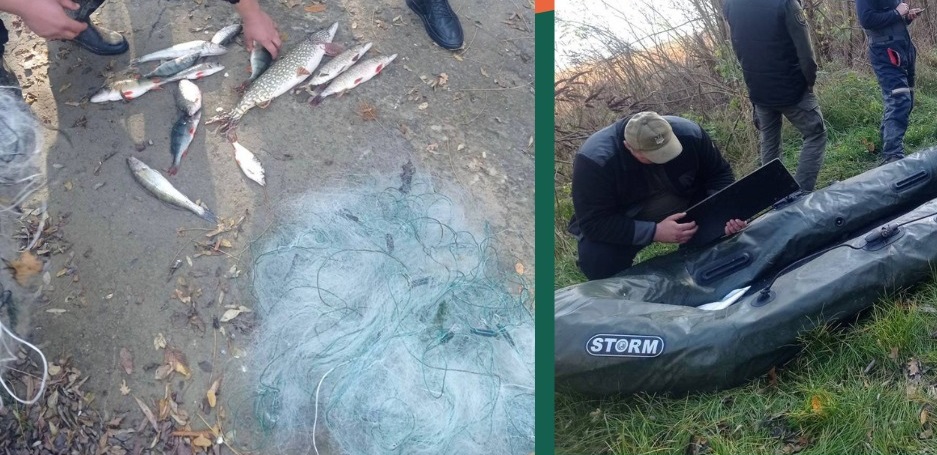 На Дністровському водосховищі двоє браконьєрів на гумовому човні наловили двома сітками риби на 40 тис грн  