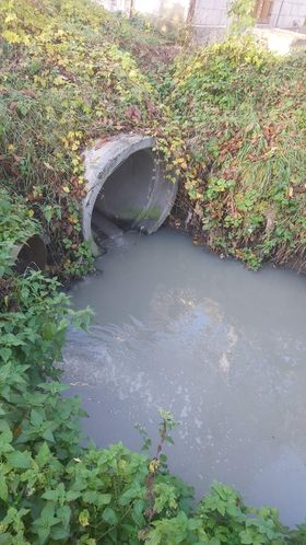 Забруднення правої притоки Прута, з якого чернівчани п'ють воду, перевищує норму у 47 раз: від Чернівецької міськради вимагають виправити ситуацію 