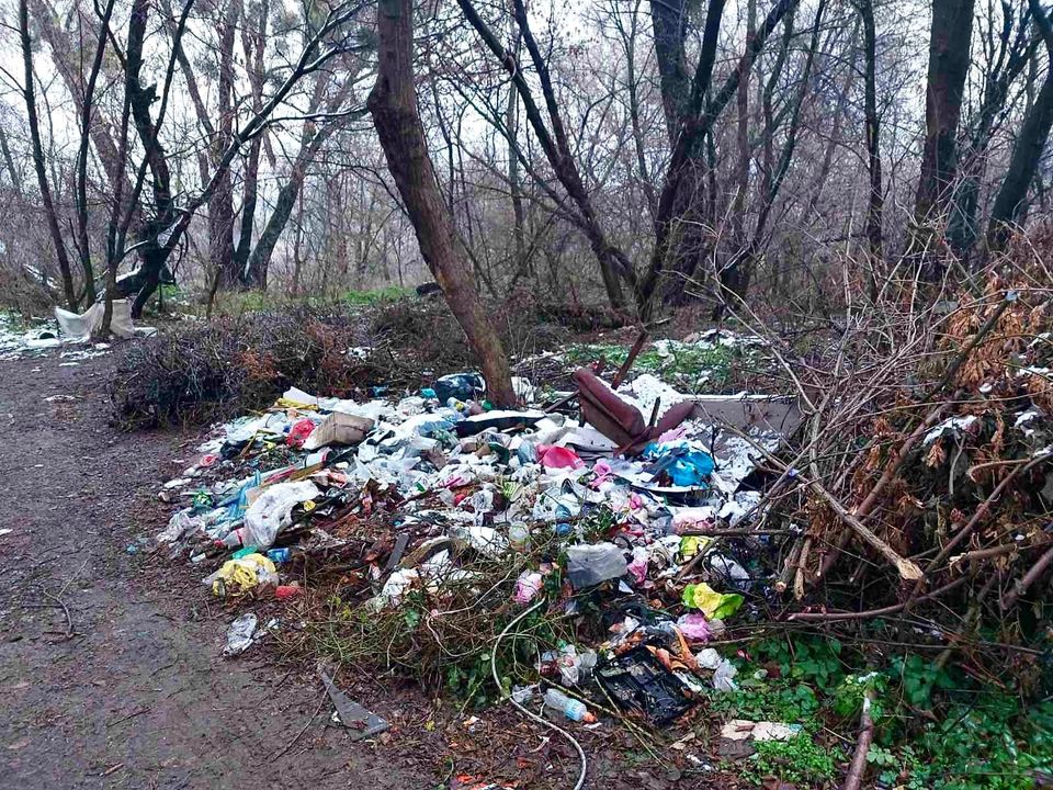 У Чернівцях виявили шість нових стихійних сміттєзвалищ, на ліквідацію яких влада спише щонайменше 300 тисяч грн 