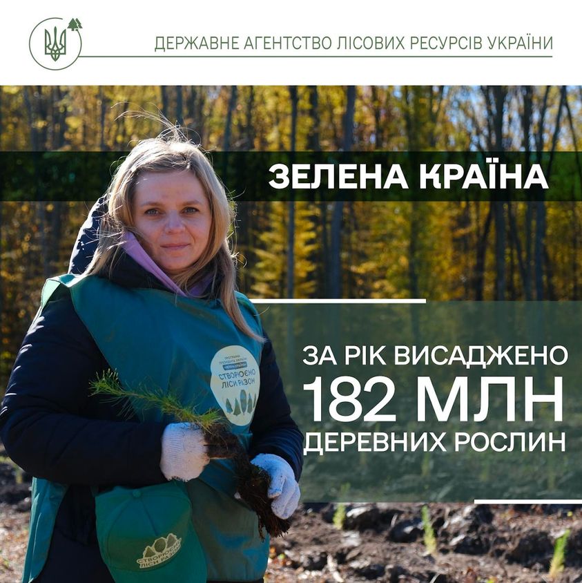 У Чернівецькій області лісівники висадили 2 млн 900 тисяч нових дерев молодого лісу 