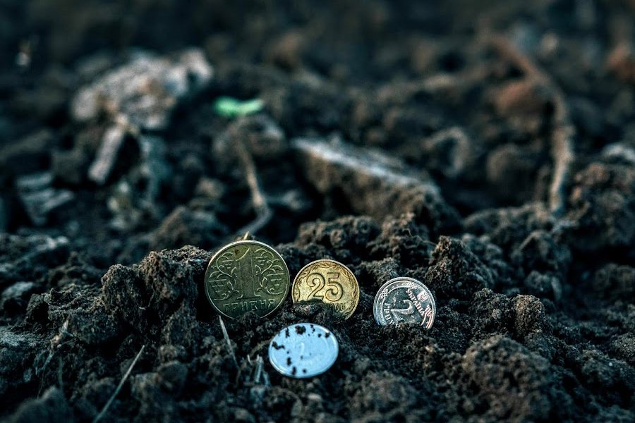 В Україні суттєво здорожчала земля: у скільки наразі обійдеться її придбання на Буковині