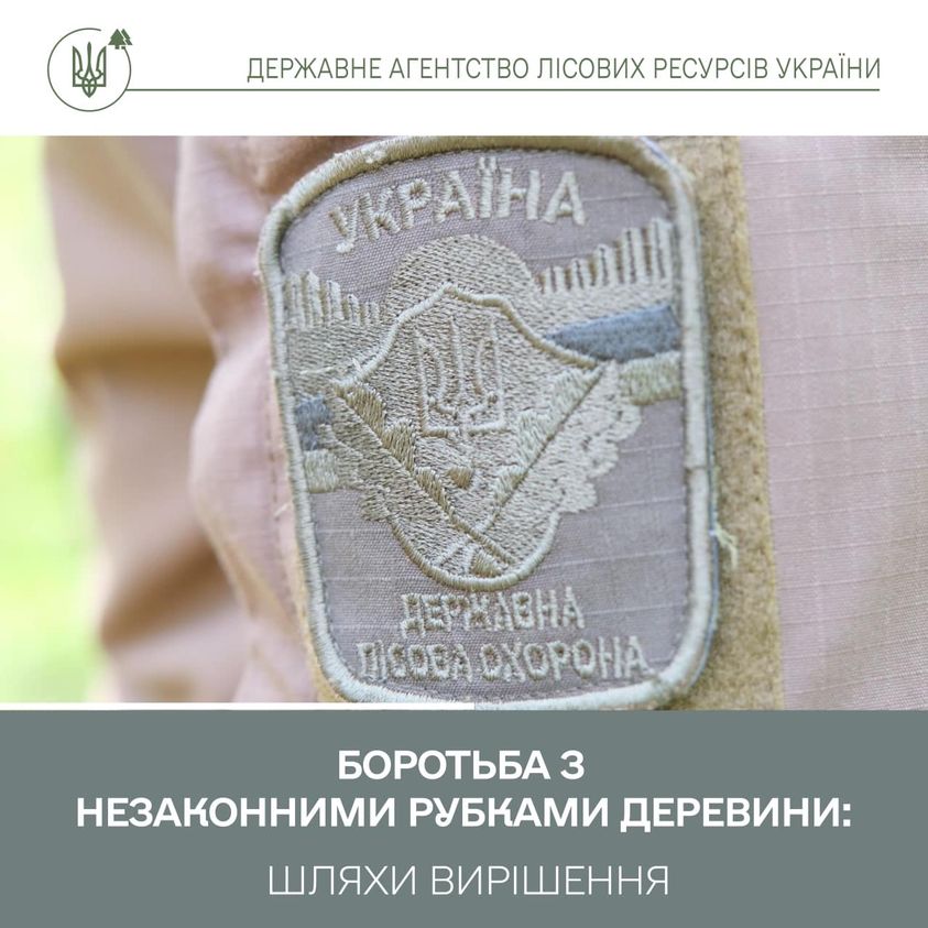Буковини нема у переліку регіонів, де найбільше  незаконно рубають ліс 