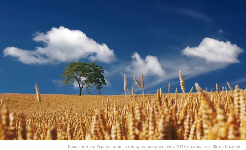 Ринок землі. Середня ціна за гектар за рік зросла на 47%: на Буковині цінники не найвищі, але землі за площею продають найменше  