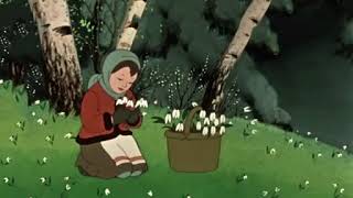 Буковинська зима в полоні тепла 
