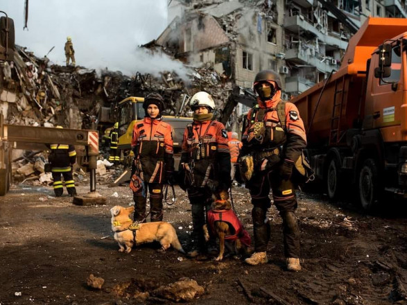 “Після обстрілів працювала на набряклих до крові лапах”: як собаки допомагають військовим та ДСНС у пошуку людей