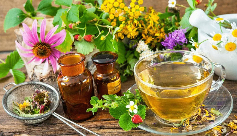 «Кожен сам собі Гіппократ: ліки ростуть у Буковинських Карпатах». Передача про здоров'я (АНОНС)