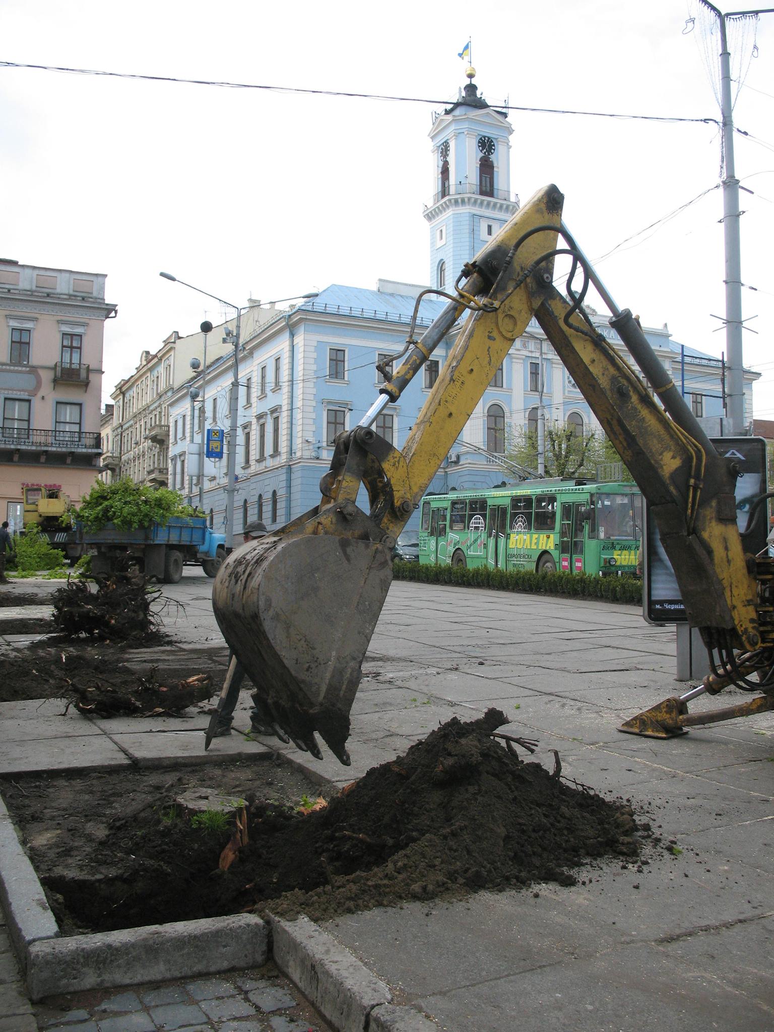 У тресті зеленого господарства повідомили про намір поступово викорчувати усі старі дерева вздовж доріг і замінити їх вишнями, сакурами і катальпами   