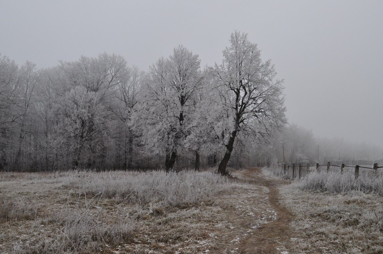 На Буковині зима пасма холодні над полем снує
