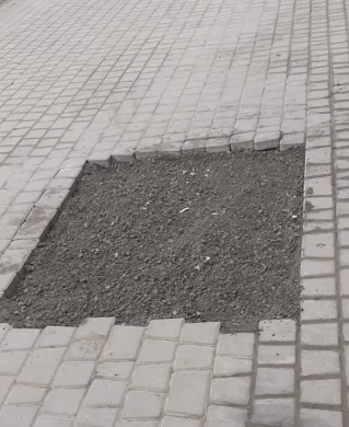 У ратуші порахували пеньки на чернівецьких вулицях 