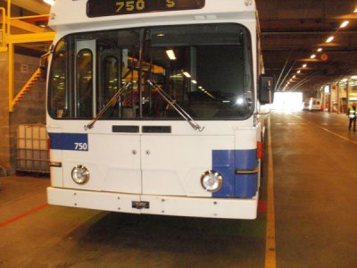 Після швейцарських тролейбусів у Чернівцях з'являться австрійські автобуси