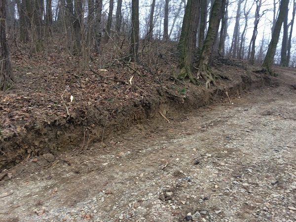 У парку Федьковича  зі старого майданчика зняли асфальт і готують для нового облаштування (ОНОВЛЕНО)