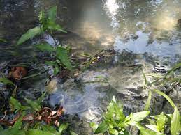 Водопілля на Совиці