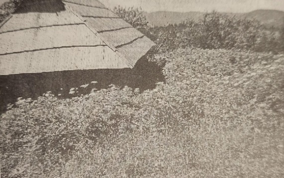 У Красному Долі гостей не чекають