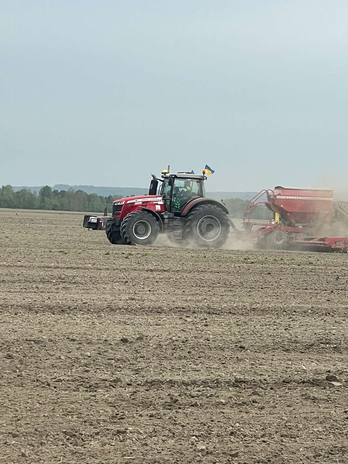 На Буковині засіють утричі більше гречки, ніж торік 