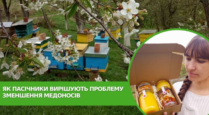 На Буковині зменшилася кількість медоносів і меду: пасіки переносять у сусідні області 