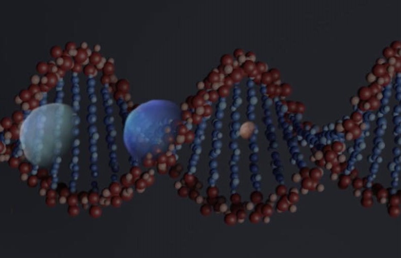 У Чернівцях відкрилася виставка картин художника з Дніпра