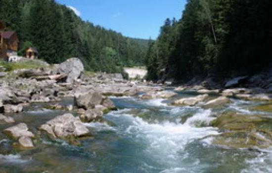 Губернатор Буковини поставив 'двійку' за роботу чиновнику, який управляє ресурсами Дністра, Прута та Сірета