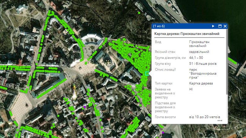 У Києві оцифровують всі міські дерева: навіщо