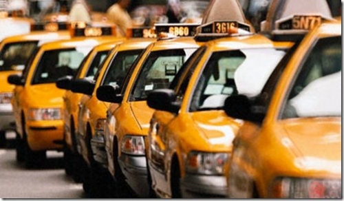 На Буковині полюють на «кукурудзників»