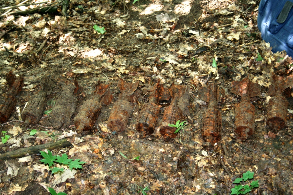 Поблизу відомого місця відпочинку та дитячого табору «Сонячна долина» виявили боєприпаси 