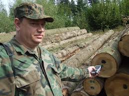 На Буковині завершують перехід на електронний облік деревини