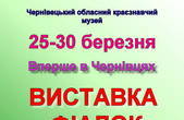 У Чернівцях представлять 400 видів фіалок 