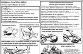 Чернівецькі лікарі розробили і видали 'Медичну пам'ятку бійця' для зони АТО