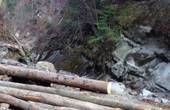 Прокуратура виявила ознаки службової недбалості під час рубки дерев поблизу водоспаду «Ворота» у с. Розтоки і передала висновки до поліції