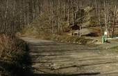 У Вижницькому національному парку під виглядом санітарних рубок нищать здорові дерева, – активіст