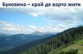 Буковина має виглядати як злиденна азіатська або африканська країна, бо середній рівень ВВП на душу населення тут приблизно вдвічі нижче середнього по країні і в 7 разів нижче Києва  