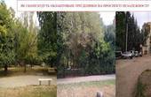 В скверах на проспекті Незалежності вирубують дерева, зачищають ділянки, змінюють їх призначення