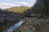Від форелевого заводу в Лопушно відвели воду, через що можуть загинути маточні поголів’я лосося, харіуса та струмкової форелі