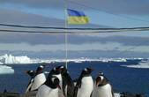 Українці нарешті вивчатимуть Антарктиду та Світовий океан на власному судні