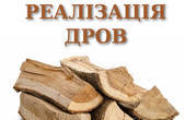 У 2020 році в Україні заплановано заготовити орієнтовно 13 млн 576 тис. куб. метрів деревини