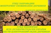 Уряд обмежив внутрішнє споживання необроблених вітчизняних лісоматеріалів 25-ма мільйонами кубічних метрів на рік 