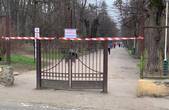 Всі парки Чернівців закрито на карантин