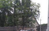У Чернівцях сьогодні почали реставрувати огорожу костелу 'Серце Ісуса' 
