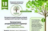 Весна прийшла - саджати будемо: містянам безкоштовно роздаватимуть саджанці для озеленення Чернівців