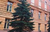 Школи, дитсадки і стадіони: у Осачука розповіли, на що витратять 114 млн грн з держфонду регіонального розвитку