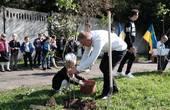 На Буковині в пам’ять про загиблих на Сході висадили калинові алеї