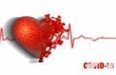 Удар по серцю: вплив COVID-19 на серцево-судинну систему
