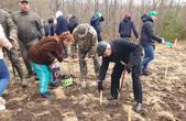 На Буковині, де раніше були сінокоси, за годину висадили новий дубовий ліс