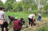 Біля музею славетної буковинки Ганни Дущак у селі Тисовець переселенці і місцеві мешканці заклали новий 'Сад єднання'