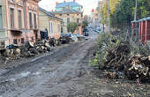 У Чернівцях біля педколеджу на Жуковського спилили цілу алею дерев 
