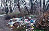 У Чернівцях виявили шість нових стихійних сміттєзвалищ, на ліквідацію яких влада спише щонайменше 300 тисяч грн 
