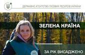 У Чернівецькій області лісівники висадили 2 млн 900 тисяч нових дерев молодого лісу 