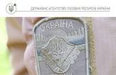 Буковини нема у переліку регіонів, де найбільше  незаконно рубають ліс 
