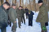 На Буковині дораховують зайців, лисиць, козуль і кабанів