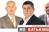 Михайлішин, Спіжавка і Баласинович  про використані на виборах кошти не прозвітували, а Федоряк і Бауер витратили більше власних коштів, ніж заробили згідно з деклараціями